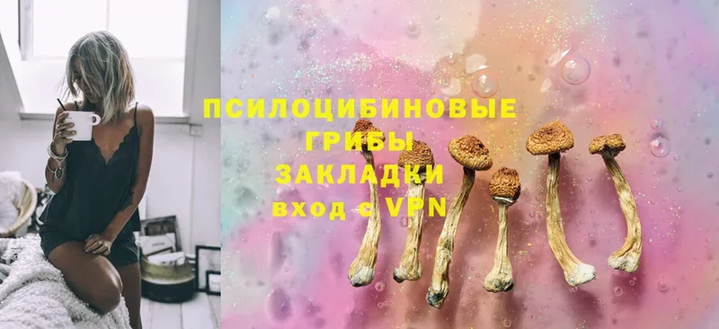 Псилоцибиновые грибы Magic Shrooms  Камызяк 